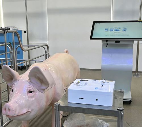 Ветеринарный медицинский симулятор - Nanjing Laiyite Electronic Technology Co., Ltd - для внутримышечных инъекций / для внутривенных инъекций / для забора крови