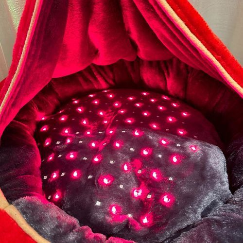 Лампа для фототерапии лечение боли в суставах - Light Tree Ventures - заживление ран / восстановление мышц / типа кровать