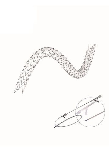 Мочеточниковый стент - EUS series - Hunan Endovascular Device Co., Ltd. - из полиуретана / из нитинола / с покрытием