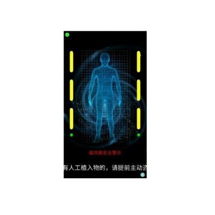 Настенный детектор металлов IRM - Shandong Hongxinyu Medical Technology Co., Ltd.