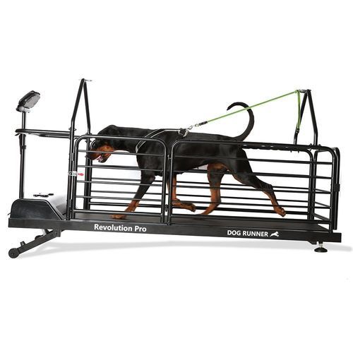 Ветеринарная беговая дорожка для собак - Revolution Pro - DOG RUNNER - с регулируемой скоростью / наклонная