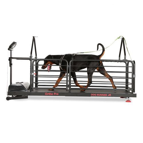 Ветеринарная беговая дорожка для собак - Ortho Pro - DOG RUNNER - с противоскользящей поверхностью / с регулируемой скоростью / наклонная