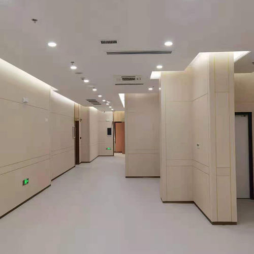 Панель для больниц - Changzhou Zhongtian Fire-proof Decorative Sheets Co., Ltd. - чистое помещение / пламестойкая