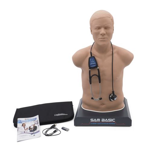 Учебный манекен для прослушивания - SAM Basic® - 3B Scientific   - для неотложной медицинской помощи / взрослый человек / торса