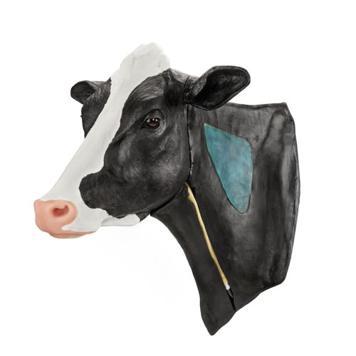 Медицинский симулятор для внутримышечных инъекций - 10255 series - 3B Scientific   - для венозной пункции / учебный / ветеринарный