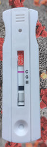 Набор для теста COVID-19 - Instant-view® - Alfa Scientific Designs - IgG / иммуноглобулин M / SARS-COV-2