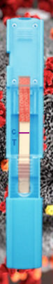 Набор для теста COVID-19 - Instant-view® PLUS - Alfa Scientific Designs - на антигены / SARS-COV-2 / назофарингеальный