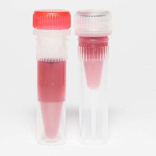 Реактив бычий сывороточный альбумин - EM.BSA series - BBI Enzymes  - для теста ELISA / с высокой чувствительностью