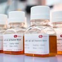 Реактив сыворотки - SF505-2 - BBI Enzymes  - для клинической химии / для исследований / жидкость