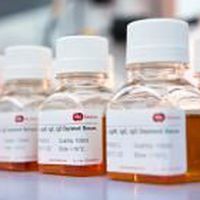 Реактив сыворотки - SF231-7 - BBI Enzymes  - для клинической химии / для исследований / жидкость