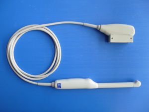 Эндокавитальный зонд для эхографии - GE8CRS  - Broadsound Corporation  - трансвагинальный
