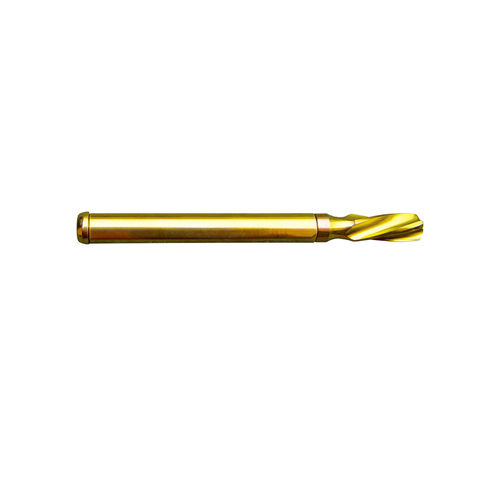 Компрессирующий винт для кости бедренная кость - 10623 GAMMA - Waston medical - блокируемый