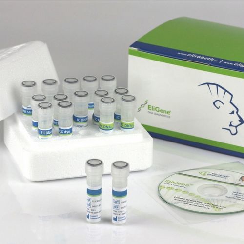 Набор для теста COVID-19 - EliGene® - Elisabeth Pharmacon spol  - мазки полости рта / SARS-COV-2 / клинический