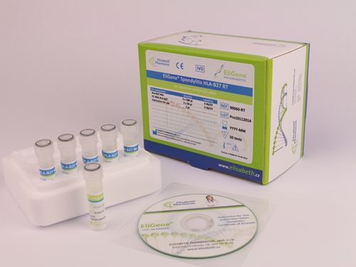 Набор для теста спондилоартрит - EG-90060-C6	 - Elisabeth Pharmacon spol  - на HLA-B27 / клинический / для поверхности