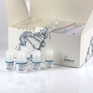Набор реактивов в растворе - EliGene® - Elisabeth Pharmacon spol  - клинический / для образцов слюны / извлечение ДНК