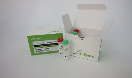 Набор реактивов фермент - EliZyme™ Probe MIX - Elisabeth Pharmacon spol  - краситель / для СМЖ в режиме реального времени / для реакции амплификации