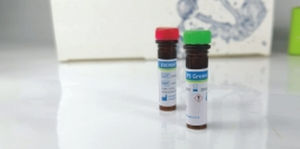 Реактив в растворе - EliDNA PS Green - Elisabeth Pharmacon spol  - краситель / для электрофореза / для ДНК