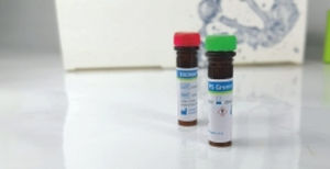 Реактив краситель - EliDNA PS Green Plus - Elisabeth Pharmacon spol  - краситель / для электрофореза / для ДНК