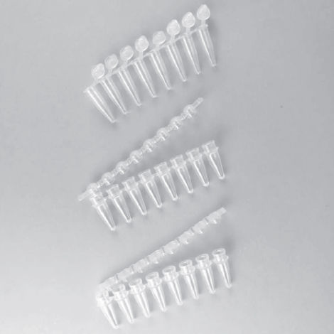 Лабораторная пробирка - AP0802FFC series - Elisabeth Pharmacon spol  - для PCR / коническая / из полипропилена