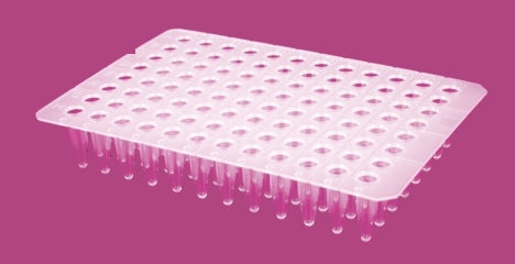 Микропластина для PCR - AP9602CNS series - Elisabeth Pharmacon spol  - 96 отверстий