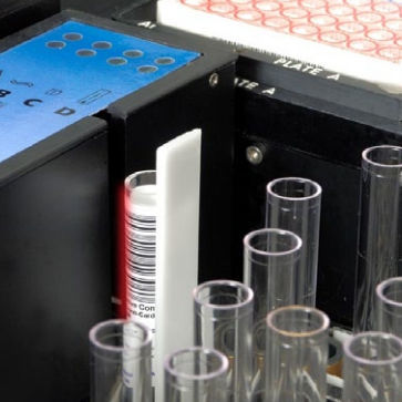 Набор для теста Токсоплазма - 967-810 - ERBA Diagnostics Mannheim - устойчивости / иммуноглобулин А / иммуноглобулин M