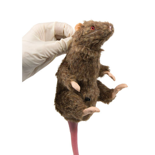 Учебный манекен для исследований на животных - VET4210 - Erler-Zimmer - грызун