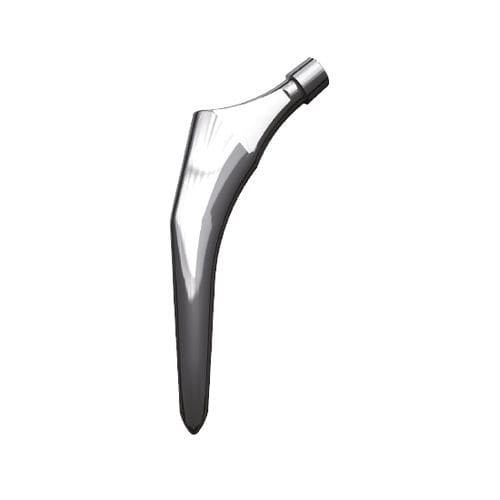 Бедренный стержень с цементом или без цемента - F2H - FH Orthopedics