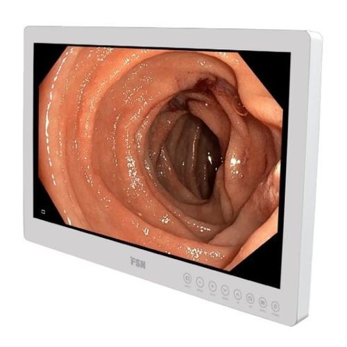 Медицинский монитор - FS-E2101D - FSN Medical Technologies - для эндоскопии / HD / 21,5"
