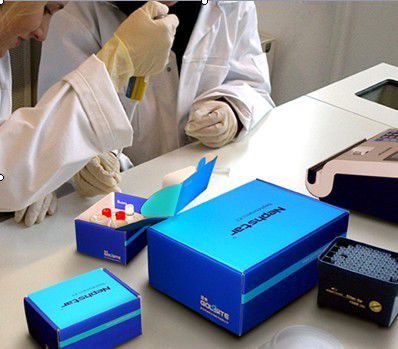 Многофункциональный реактив - Nephstar  - Goldsite Diagnostics Inc. - для протеинов / IgA / IgG