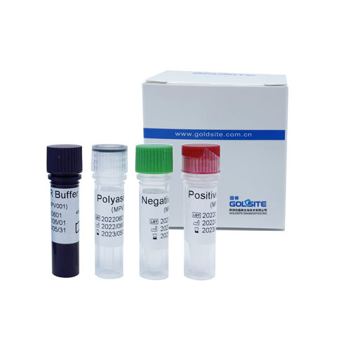 Набор для теста оспа обезьян - GPCR1300 series - Goldsite Diagnostics Inc. - на инфекционные заболевания / сыворотки / для RT-PCR