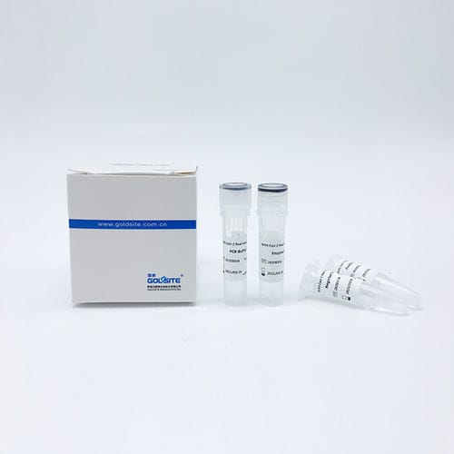 Набор реактивов буферный раствор - Goldsite Diagnostics Inc. - ДНК-полимераза / обратная транскриптаза / для нуклеиновых кислот