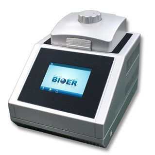 Амплификатор с градиентом - Life ECO - Hangzhou Bioer Techonology   - 96 отверстий / с сенсорным экраном / с портом USB