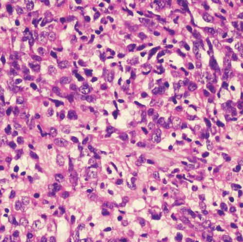 Реактив красящий раствор - 01HEMM1000 - Histo-Line Laboratories - краситель / для гистологии / жидкость