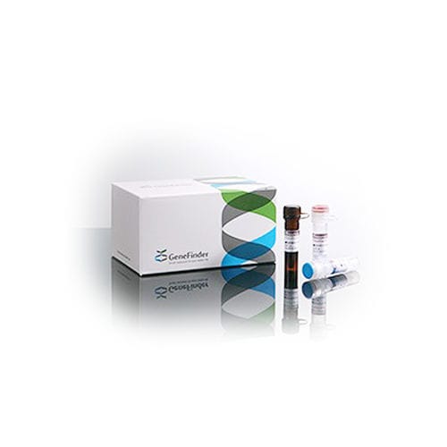 Набор для теста для ревматических заболеваний - GeneFinder™ - OSANG Healthcare - на HLA-B27 / цельной крови / для СМЖ в режиме реального времени