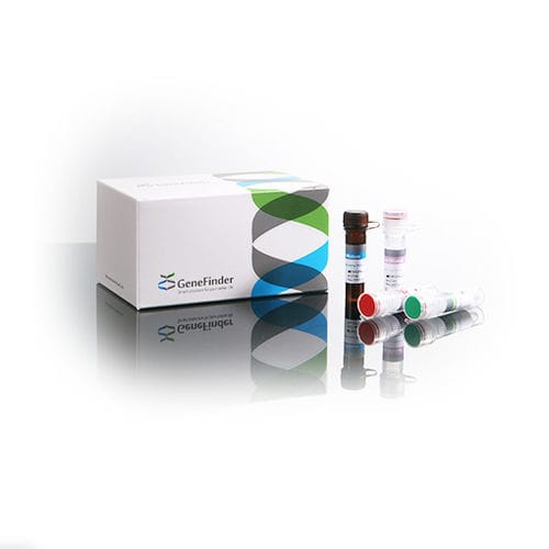 Набор для теста туберкулеза - GeneFinder™  - OSANG Healthcare - комплекс микобактерий туберкулеза / палочка Коха / на микробактерии