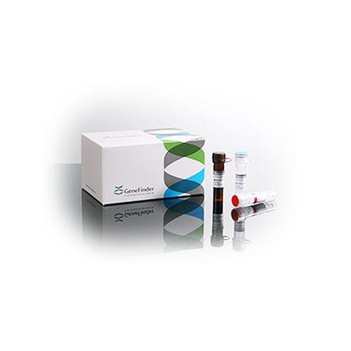 Набор для теста для воспалительных заболеваний - GeneFinder™ - OSANG Healthcare - для гена HLA-B / цельной крови / экологический