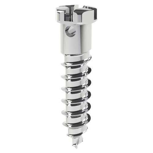 Мини-имплантат из титана - DualTop - G1  - Jeil Medical Corporation - винтовой / ортодонтической фиксации / саморез