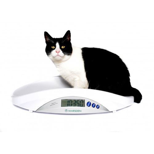 Электронный ветеринарные весы - V-22 - Marsden Weighing Machine Group - для небольших животных / платформа / переносной