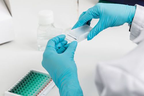 Предметное стекло для микроскопа - sciCHIP Amino - Scienion AG