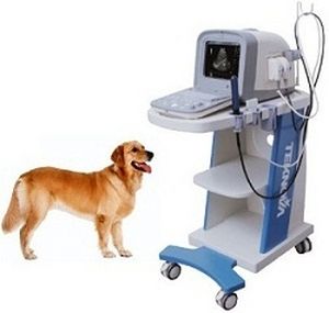 Ветеринарный ультразвуковой сканер на платформе - TH-100Vet - Teknova Medical Systems - многоцелевой