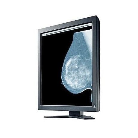 Медицинский монитор - GS520 series - Ultra-Viol - маммографический / с высоким разрешением / 21,3"