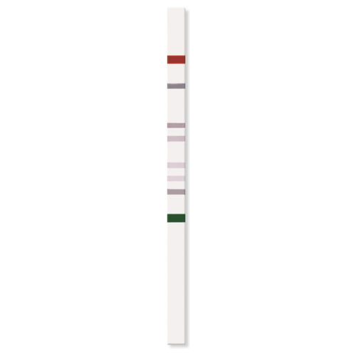 Тест-полоска для генетических мутаций - PGX-TPMT StripAssay® - ViennaLab Diagnostics  - TPMT / гены / свинцовая