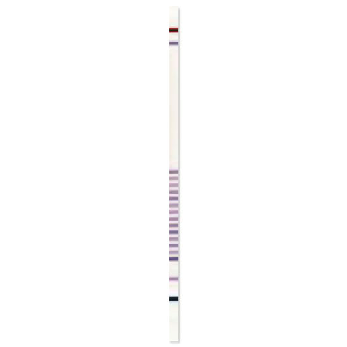 Тест-полоска муковисцидоз - CF StripAssay® - ViennaLab Diagnostics  - для генетических мутаций / клиническая / молекулярная