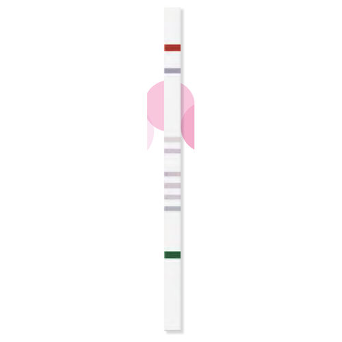Тест-полоска непереносимость сахара -  StripAssay® - ViennaLab Diagnostics  - альдолаз / гены / фруктозы