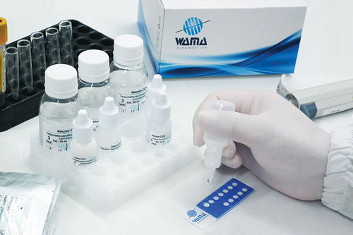 Реактив в растворе - Wama Diagnostica - клинический / на ANA HEp-2 / Токсоплазма