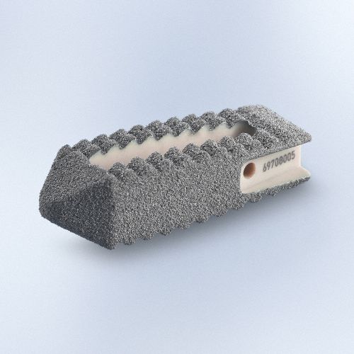 Межтеловой кейдж для поясничной зоны - PROSPACE®XP - Aesculap® - через задний отдел
