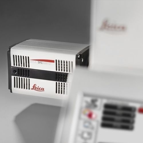 Камера для микроскопов - DFC9000 - Leica Microsystems - цифровая / CMOS / флюоресцентная