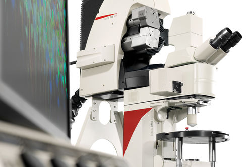 Цифровой микроскоп - TCS SP8 MP - Leica Microsystems - инфракрасный / для лабораторий / для органа