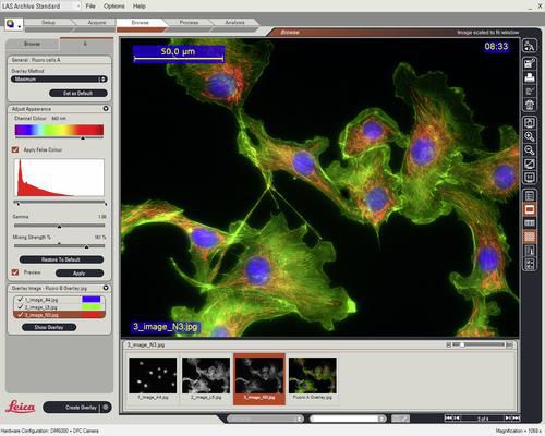 Медицинское программное обеспечение - LAS Image Overlay - Leica Microsystems - для лабораторий / для цифровых микроскопов / для визуализации