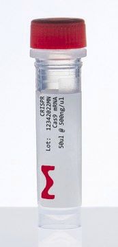 Реактив Белок Cas9 - CAS9MRNA-1EA - Merck - для последовательности оснований в ДНК
